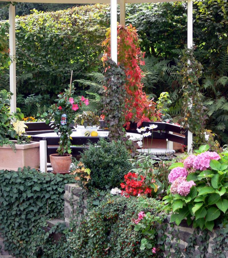 Hotel Talschenke Hurtgenwald Exterior photo